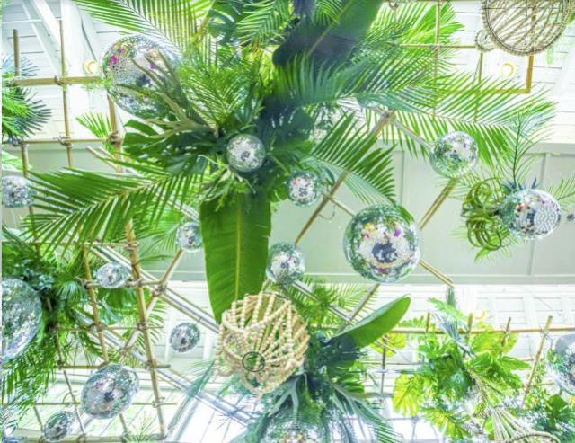 Rental store for BACKDROP - BAMBOO in Atlanta GA